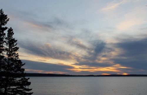 Hancock Point House | Waterfront, sunsets, 10 steps to water, heated, hiking, pets, Cutler Beach House
