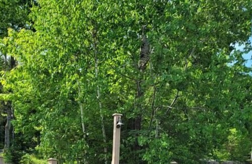 Waterville Valley Apartment | Waterville Condo located Close to Skiing, Trails & Town!!