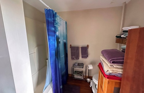 North Adams Apartment | Wilco wknd - 10 min walk to MassMoca 2-bedroom apartment with AC