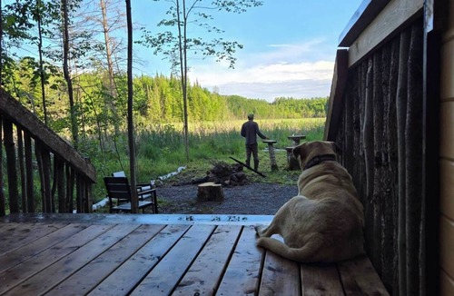 Golden Lake Cabin | Wood Duck Cabin, No Neighbours, Drive too, Pet Friendly