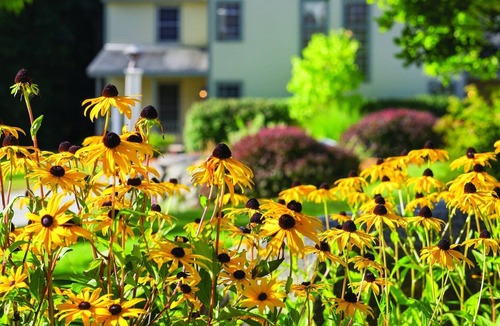 Francestown Condo | Wyndham Crotched Mountain Resort - Comfy 1 Bedroom