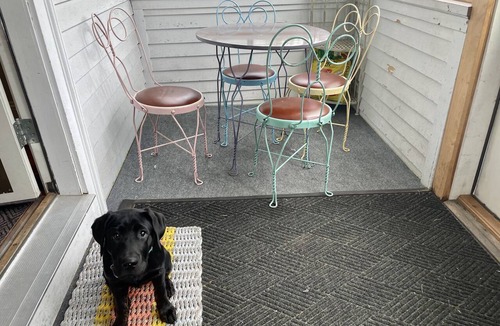 Bar Harbor House | Your Home Away from Home in Beautiful Bar Harbor, Maine