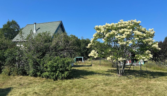 1-Bedroom Off Grid Cabin on Remote Island Across from Acadia National Park