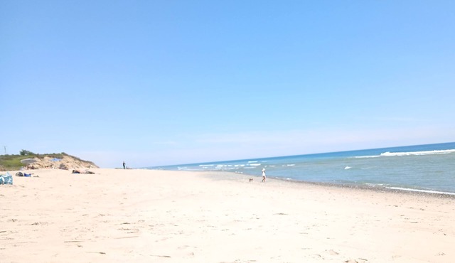 1 mile to Coast Guard beach! Friendly 4-bedroom house with AC & large yard