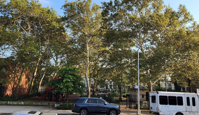 1BD 1.5BA in Bedstuy, 55in tv coupled with a king sized bed!