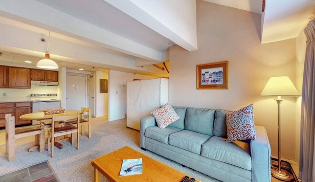 5th-floor mountain-view condo, easy access to the slopes free shuttle or walk