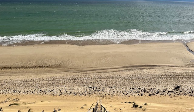Adorable 2-bedroom cottage in South Wellfleet perfect for getaway and BEACH!
