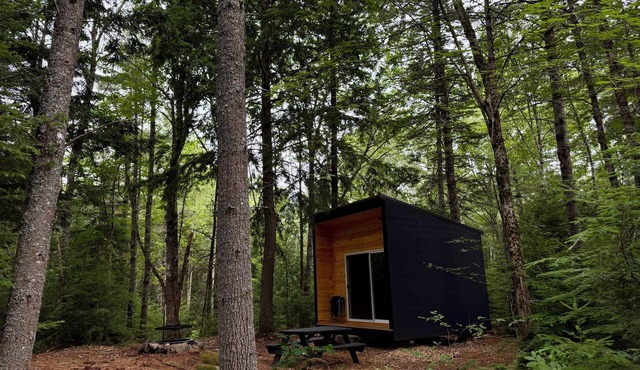 Applecroft Cabin No. 3 - Modern off-grid cabin deep in the woods.