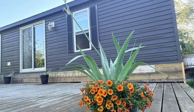 Backyard Garden Resort 7 Beds for a Max of 12 near Horseshoe Fall