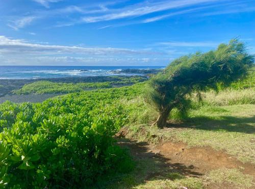Beachfront 1 Bedroom Condo with Private Beach, Pool, Hot Tub in Pahala