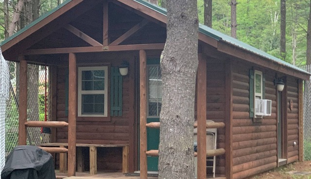 Bear Cabin at Adirondack Wildlife Refuge, Sleeps 4, One Night Minimum Stay