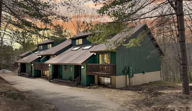 Beary Happy Place | Modern & Close to Downtown