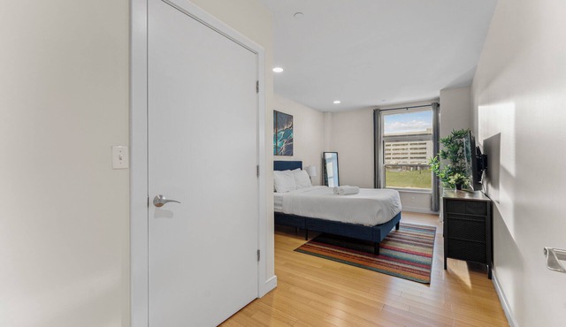 Beautiful 2BD/2BA in Southend Boston 2336