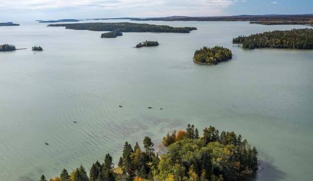 Believers Bay - Downeast Maine Coast