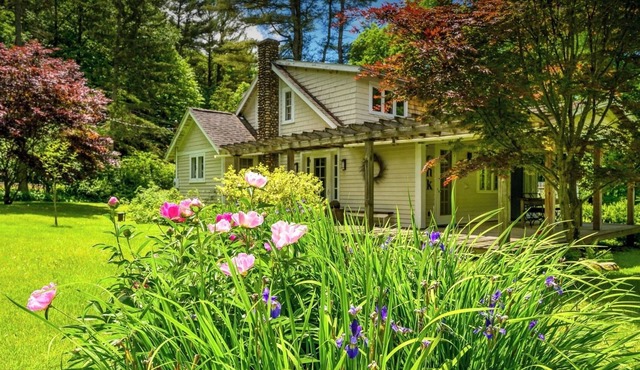 Birds’ Nest Bungalow