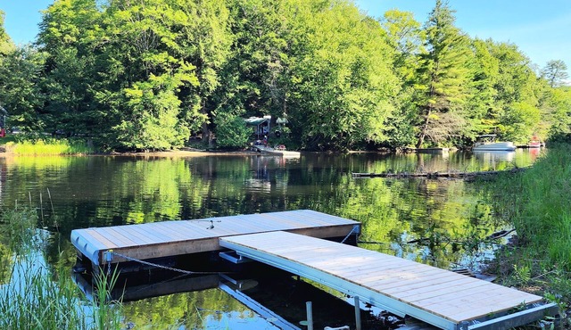 Bluejays - Waterfront cottage on Muskoka River