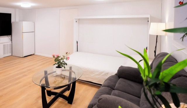 Brand New Studio! Stylish w/Laundry! Parking! Main St!