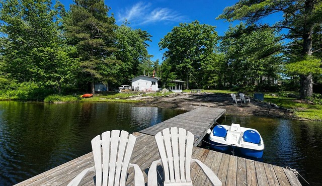 Calm Tea Lake Waterfront | Swim, Relax & Explore