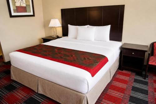 Central Albany Room with Breakfast & view