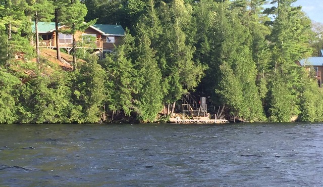 Charming 3-bedroom cottage/home overlooking Big Gull Lake in Central Frontenac in Arden