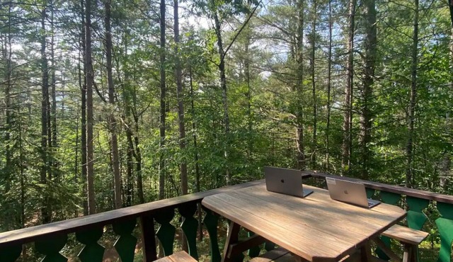 Charming Adirondack Chalet in the woods