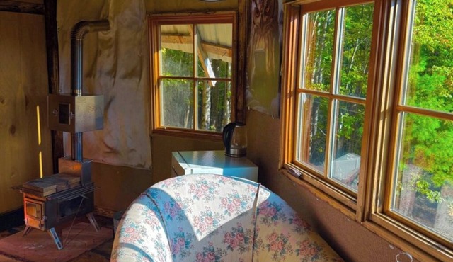 Charming TREEHOUSE in remote location in Braintree