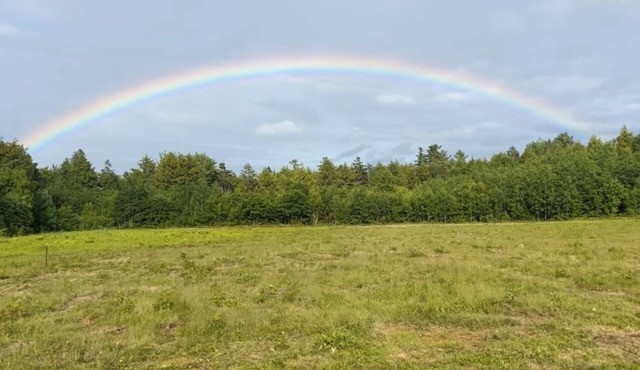 Connect with nature - Tranquil Downeast Escape, Near Acadia & Sunrise Trail