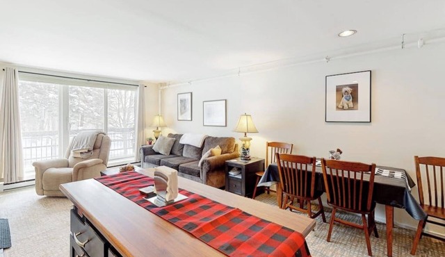 Convenient condo w/mountain view, fireplace, near lift, ski locker, 1st floor