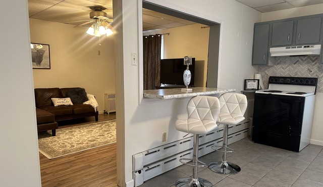 Cozy 2nd floor brick apartment. Walking distance -Charles Park, pond & dog park