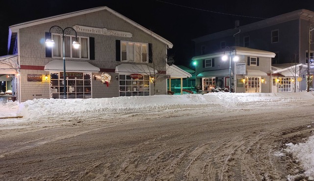 Cozy Apt close to the Catskill Park,Skiing, Hiking and more!