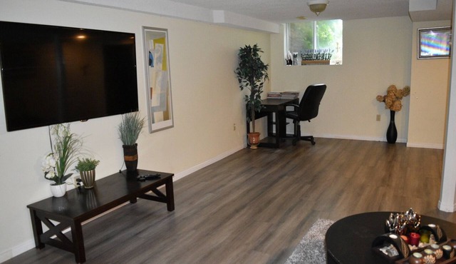 Cozy Basement Space in Kanata North