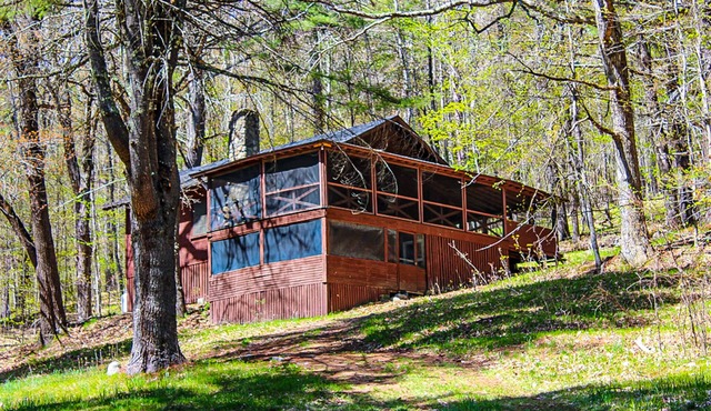 Cozy cottage near Lake Kanasatka with kayaks , dog-friendly