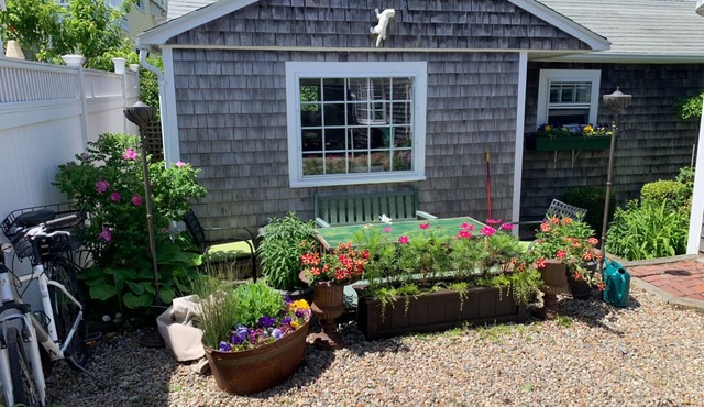 Cozy Cottage on Central