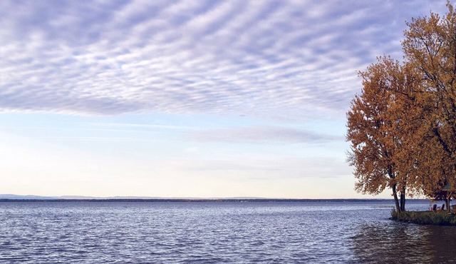 Cozy cottage on Oneida Lake. Great for couples. Relax. Recharge. Reconnect.