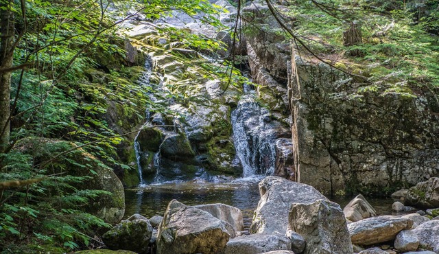 Cozy Off-grid stay in the heart of the forest