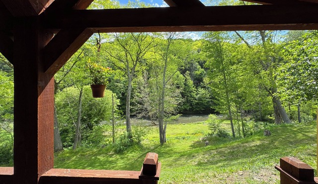 cozy one-bed, one-bath cabin in Galeton, PA. Pine Creek within walking distance