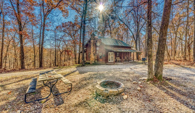 Cozy, Rustic, & Spacious 10-person cabin near Grinder's Ferry & Tyler Bend! in Saint Joe