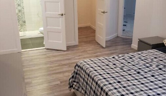Deluxe newly renovated Apartment