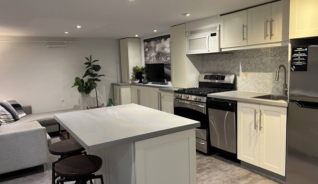 Downtown Modern Newly Renovated 1Bedroom- Wifi, Transit, Walkable-LESLIEVILLE