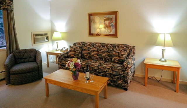 Efficiency with Sleeper Sofa only 121