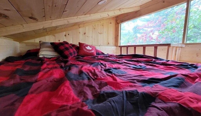 Enchanting Cabin In The Woods