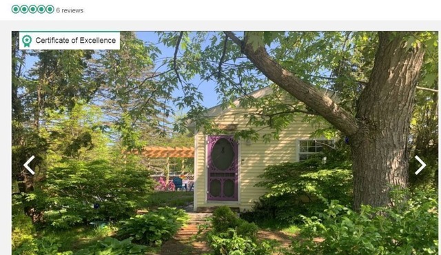 Enjoy Winter 2025 in Vacationland-Dog Friendly!