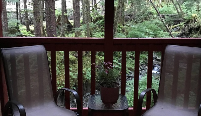 Experience Alaska with a touch of home! in Hollis