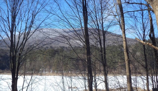 Farm Barn Adjacent Wildlife Preserve w/Fantastic Views