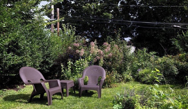 Fenced Yard, Remote Work, Laundry, UR/RIT/Strong