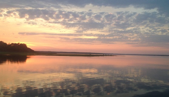Ferry Tickets Available! Charming/Pet Friendly Cottage in Edgartown