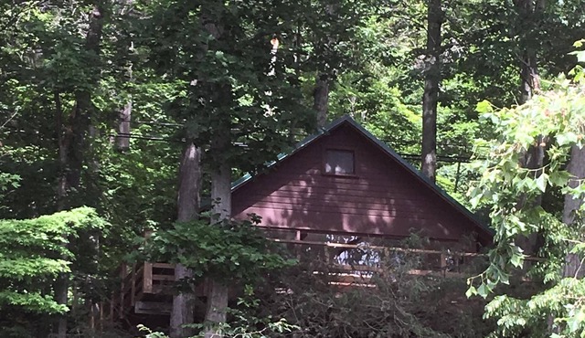 Finger Lakes Cabin with over 200' of Inviting Lakefront!