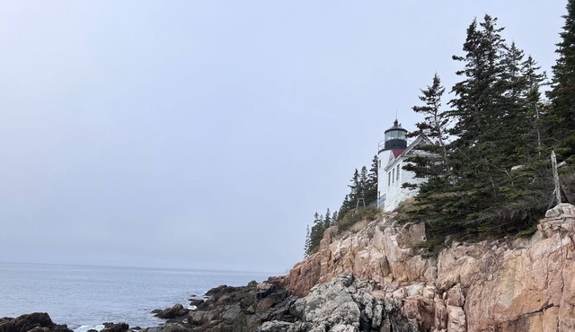 Fiona's Quiet Side Cottage—2 min to ocean, 1m to Bass Harbor Light
