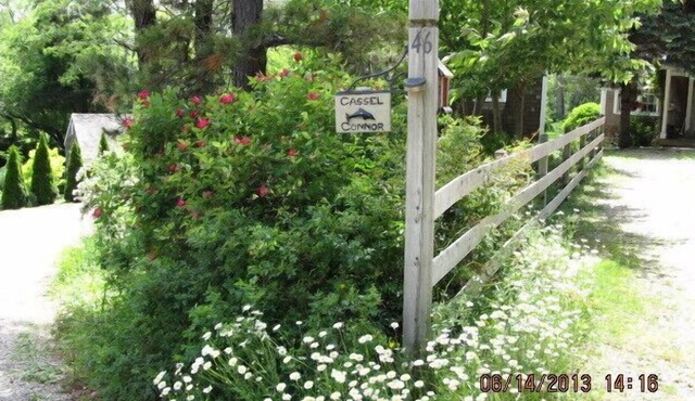 Idyllic Cottage in Leafy Glen Near the Ocean