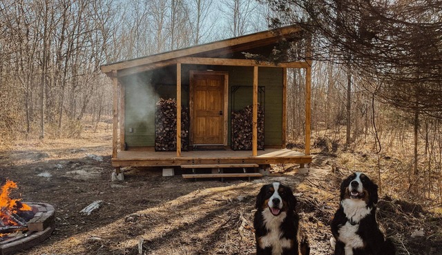 Jacks cabin in the woods